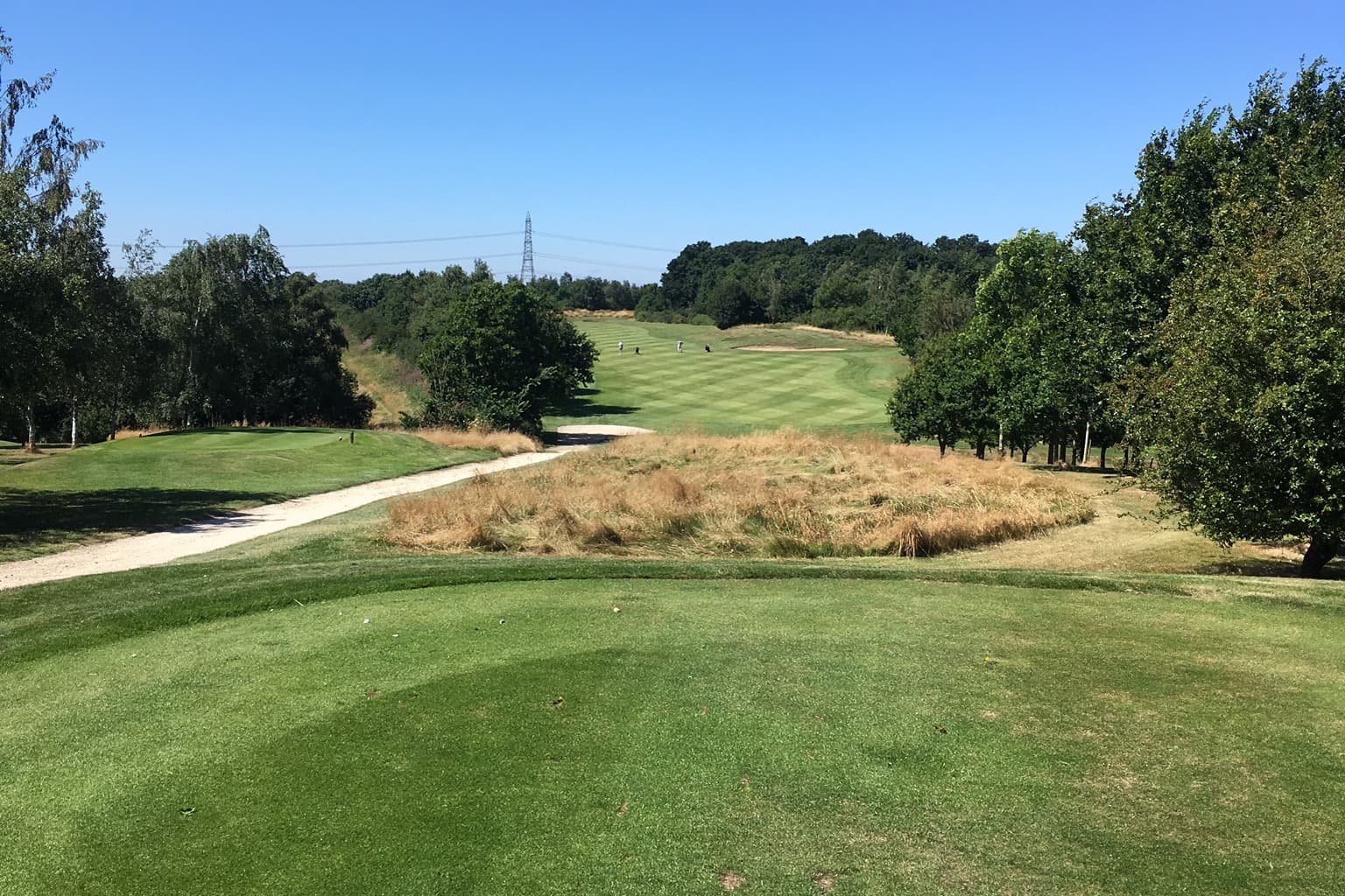 Elton Furze Golf Club