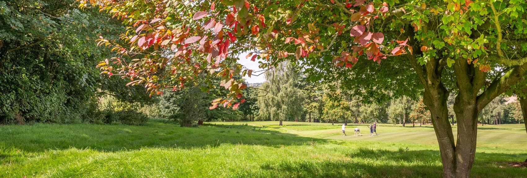Enmore Park Golf Club