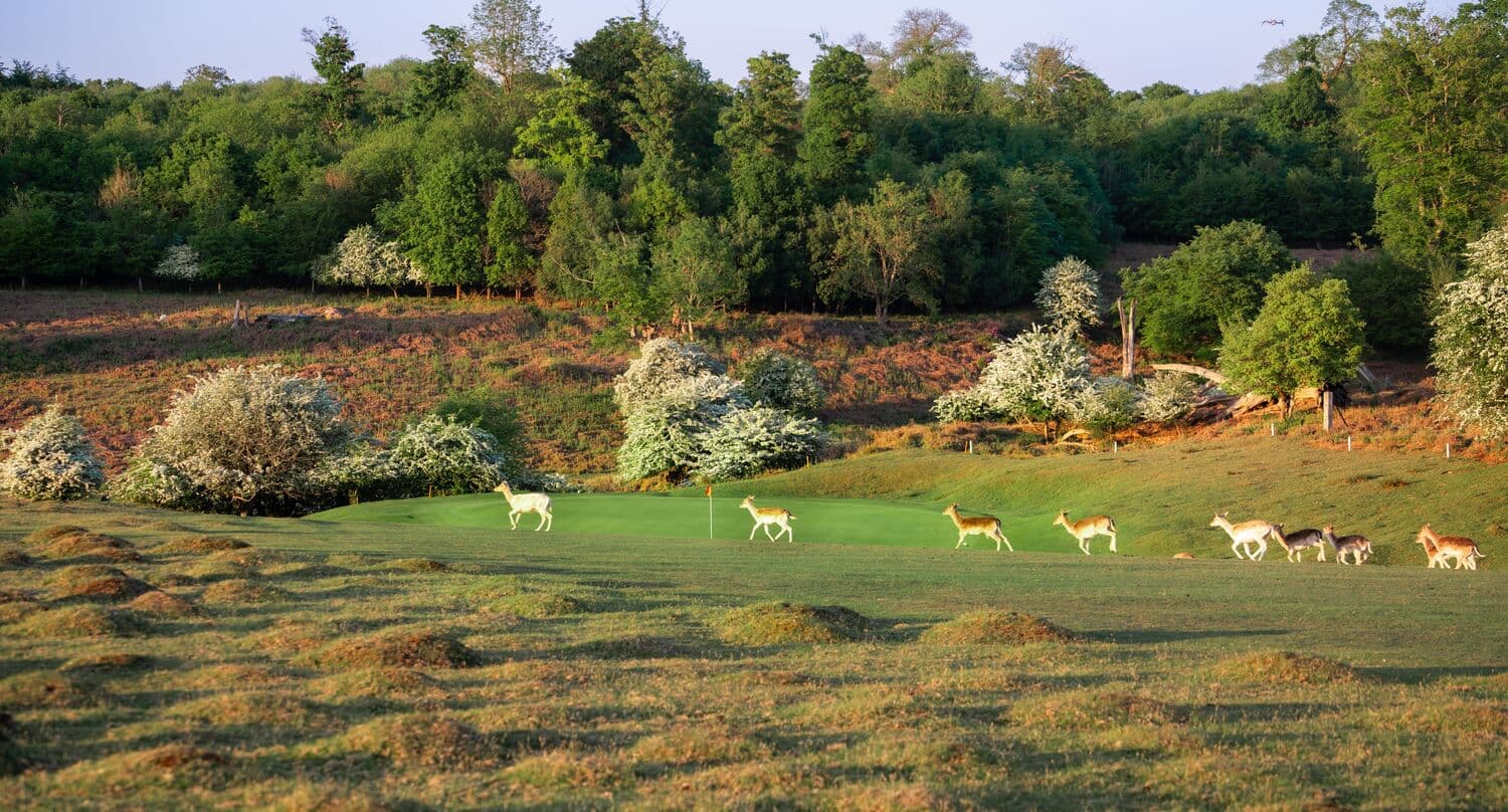 Knole Park Golf Club