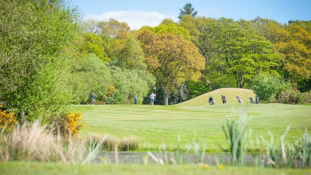 Woodbury Park Golf Club — The Acorns
